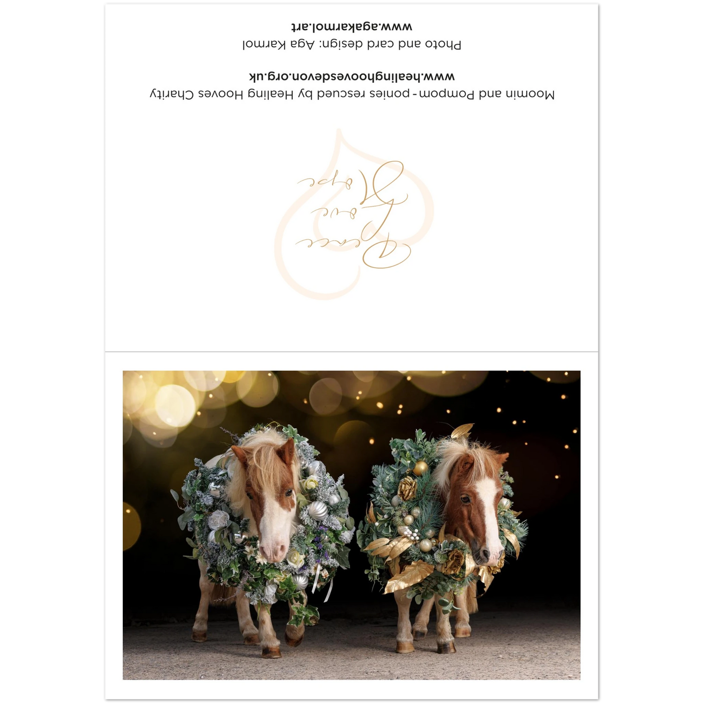 134f75fd-2d82-4409-9ab4-c05421bef26c