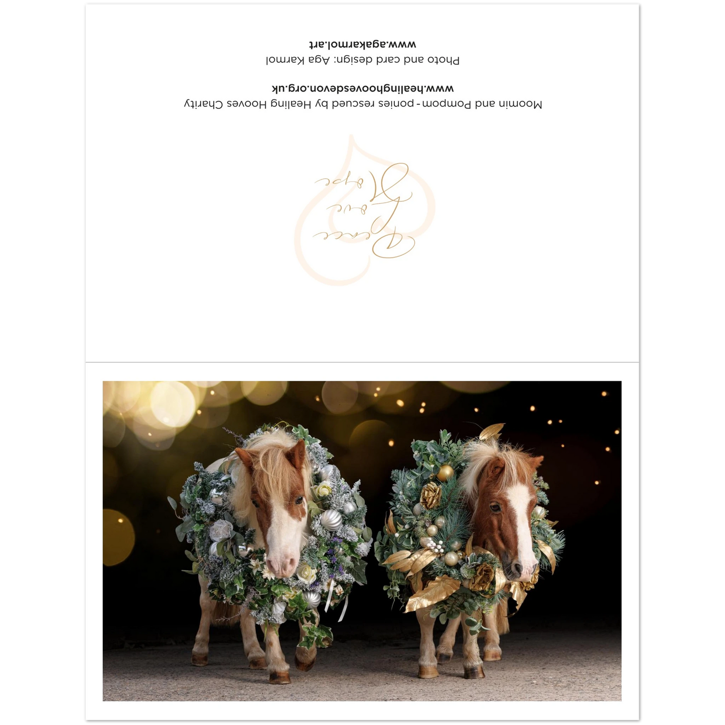 394e3af8-4a49-4f86-895c-bd1fee2a85a7