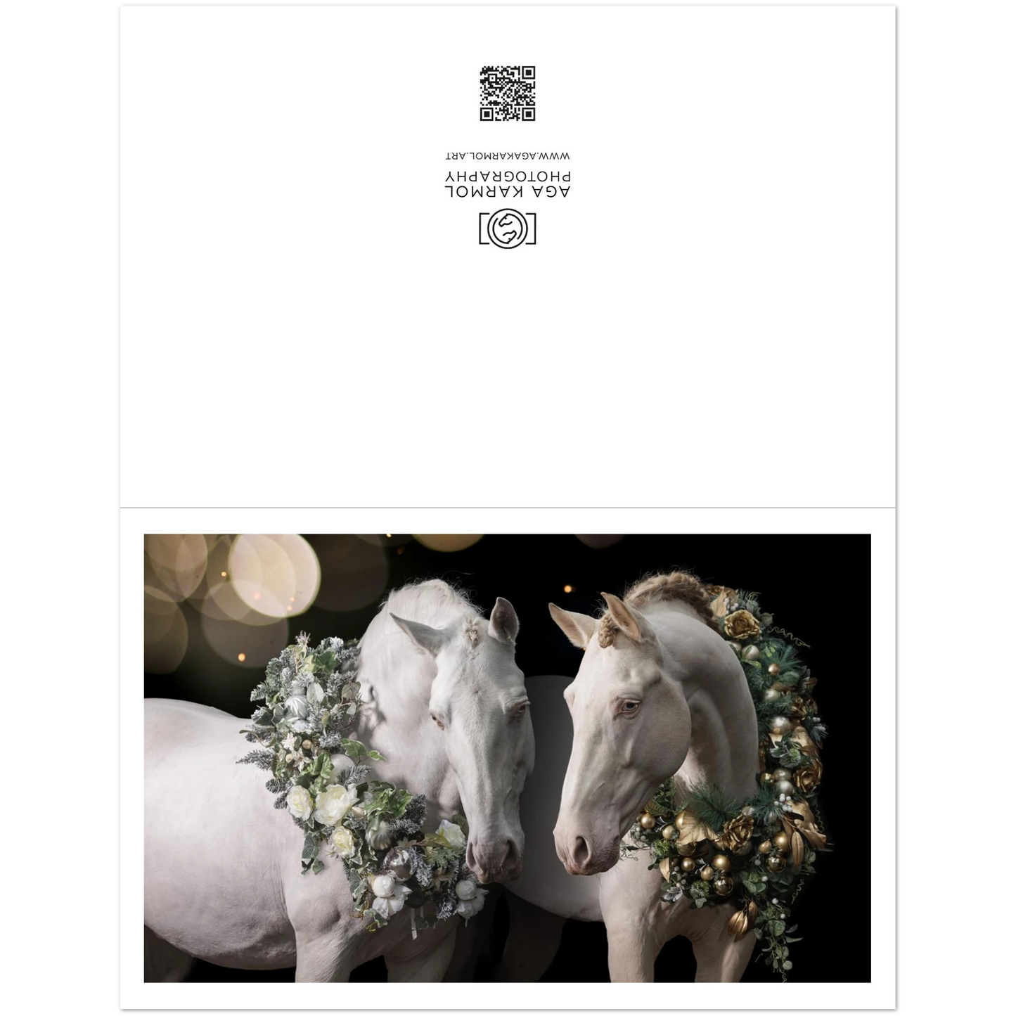 6780bb16-c1fd-4860-8e94-cc1100a56133