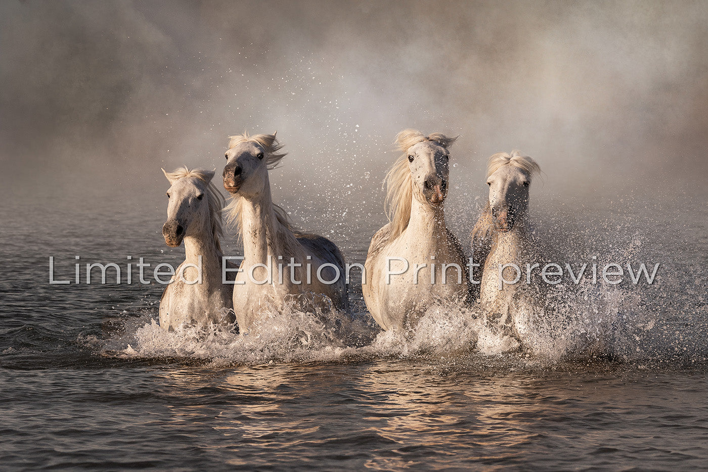 Kelpies of Camargue