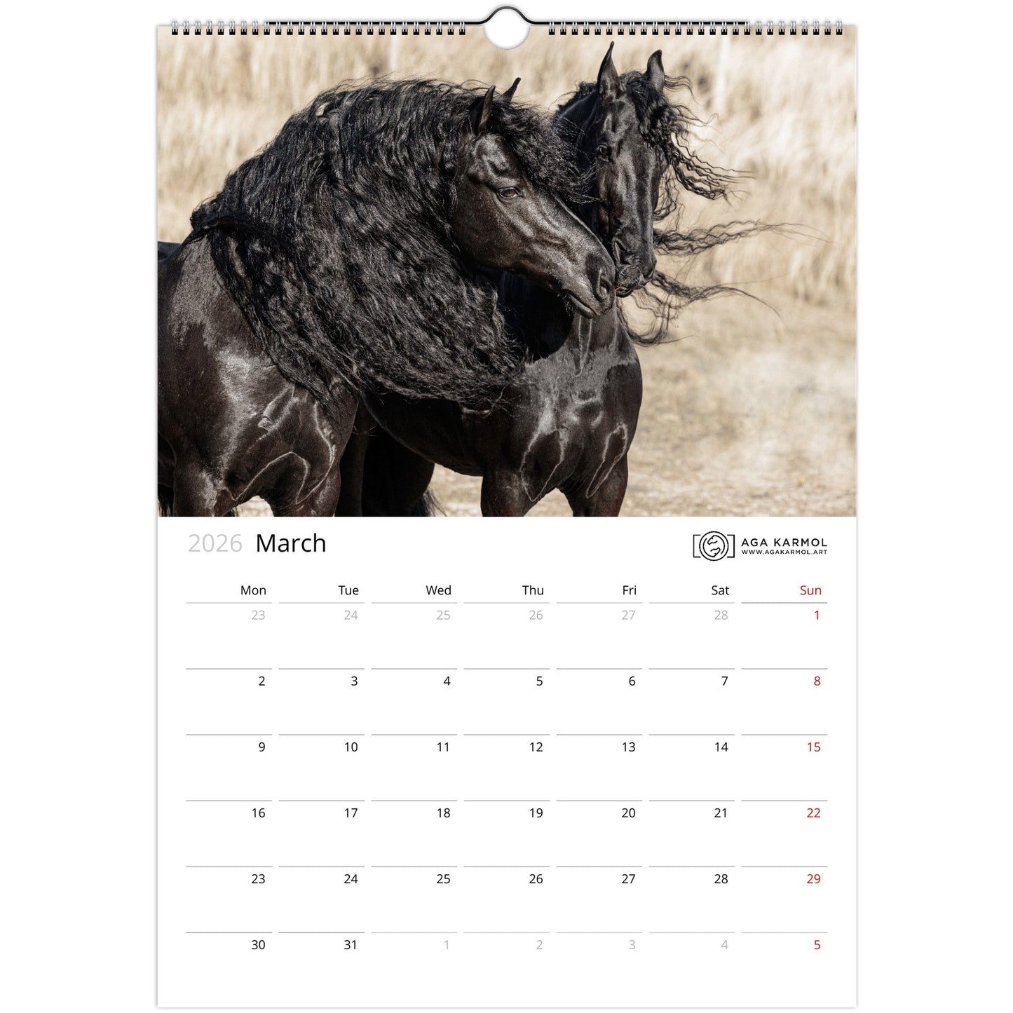 00880daf-9e51-4eb4-a6f2-6a0935fe2978