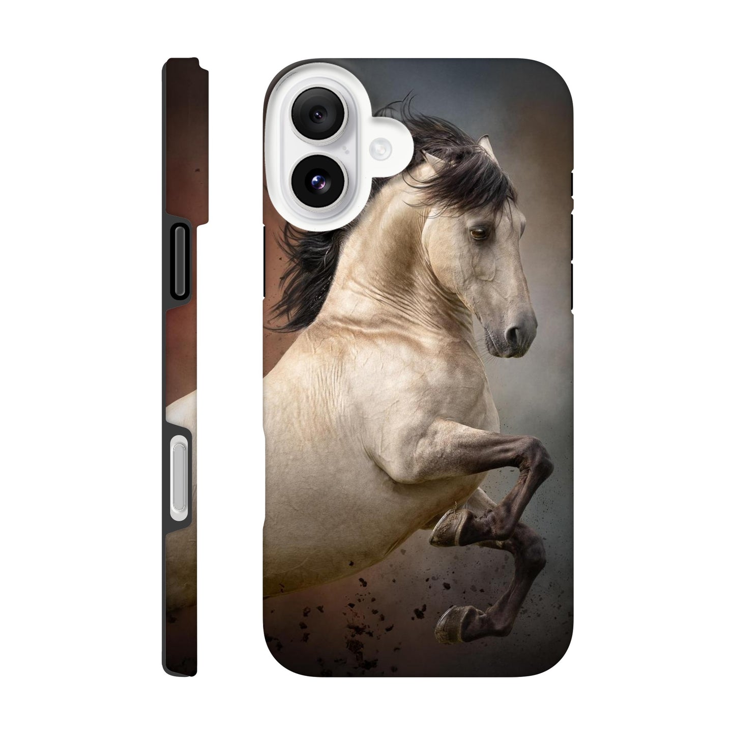 0903f248-74df-4bdd-b91d-ff627d8a26ff