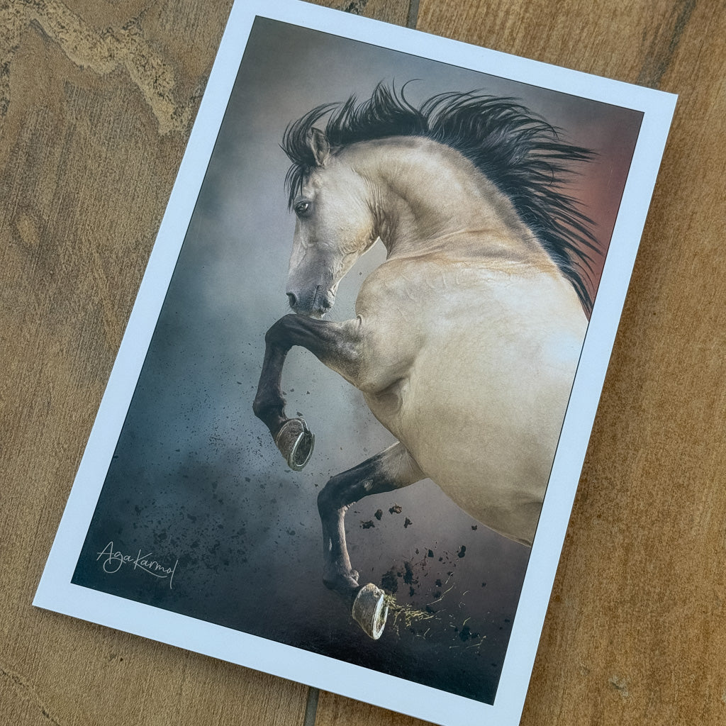 Beautiful Horses Cards
