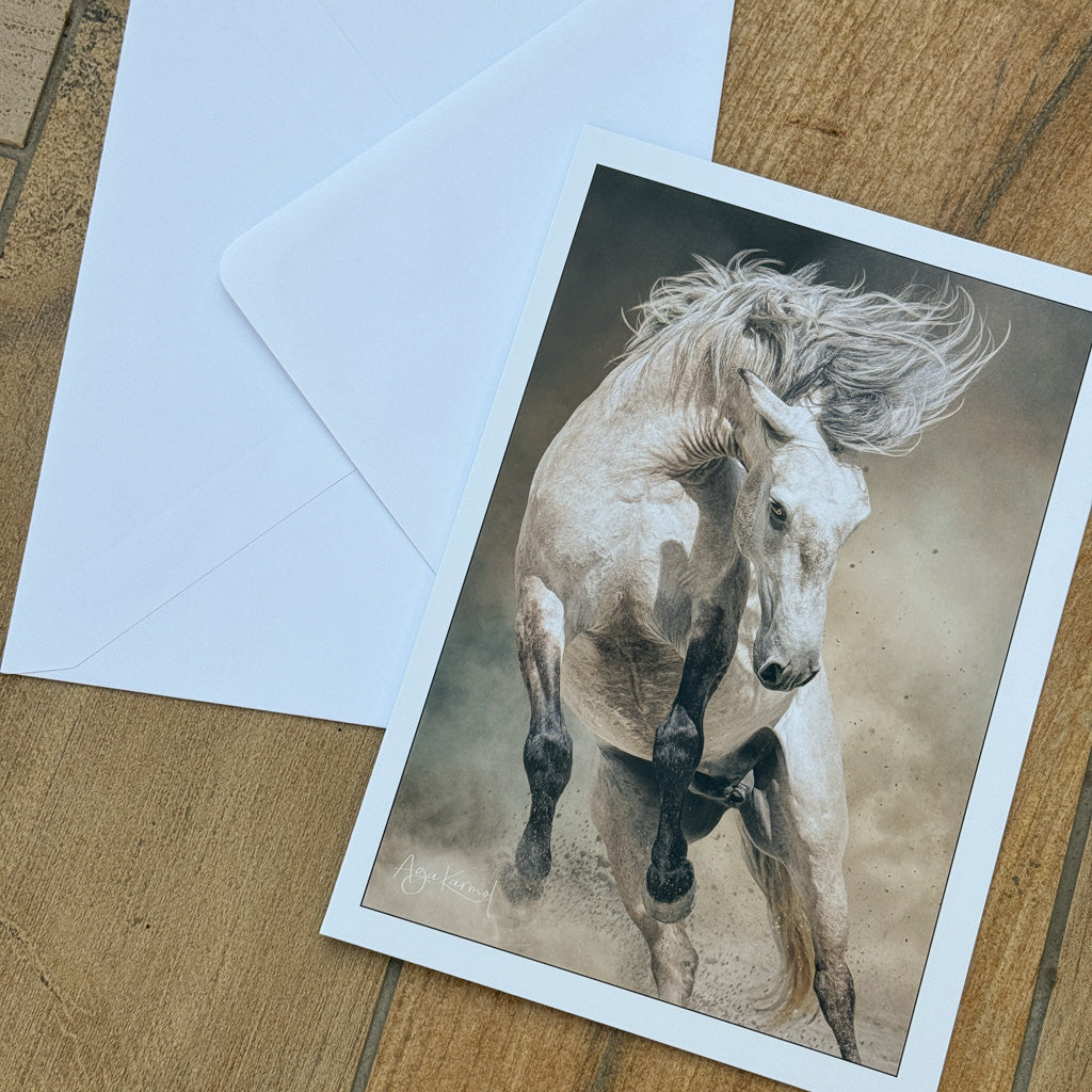 Beautiful Horses Cards