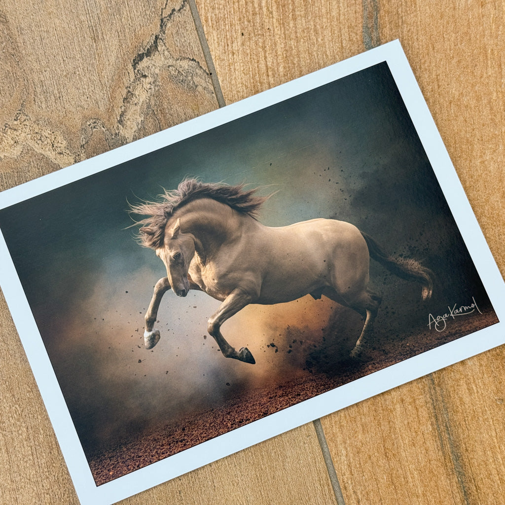 Beautiful Horses Cards