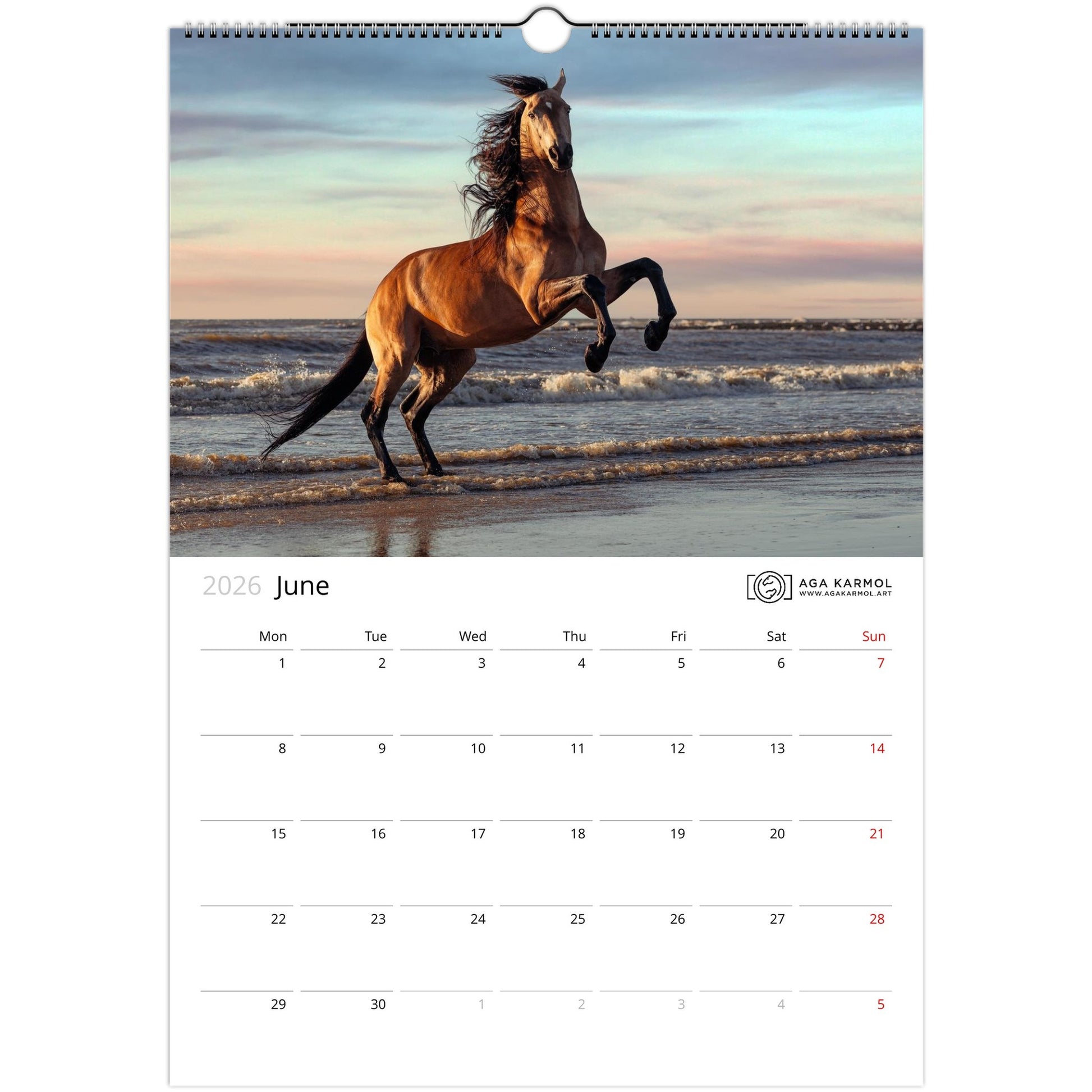 35e0f115-789c-4c85-bec5-fbdd59761b81