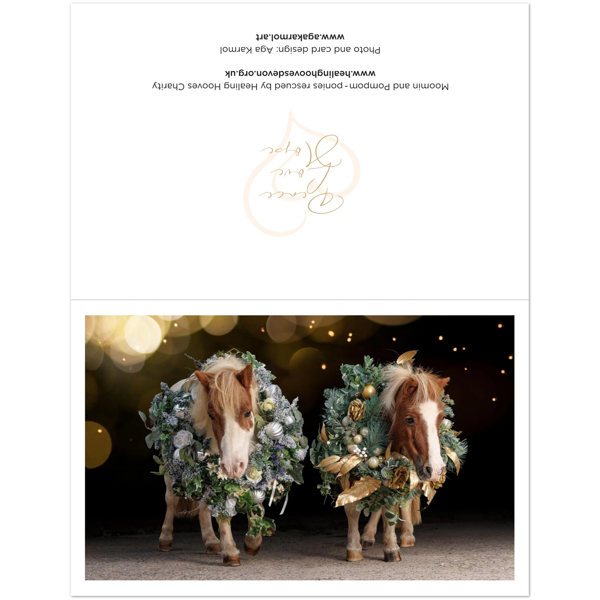 394e3af8-4a49-4f86-895c-bd1fee2a85a7