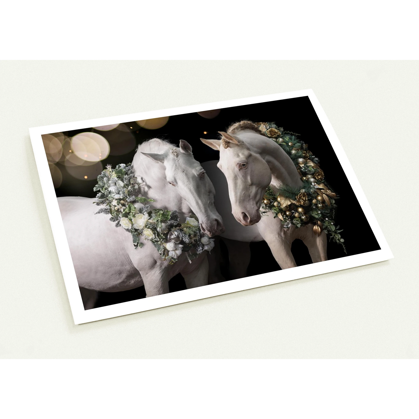 452485cd-3921-4946-9bd6-226f049c5a68