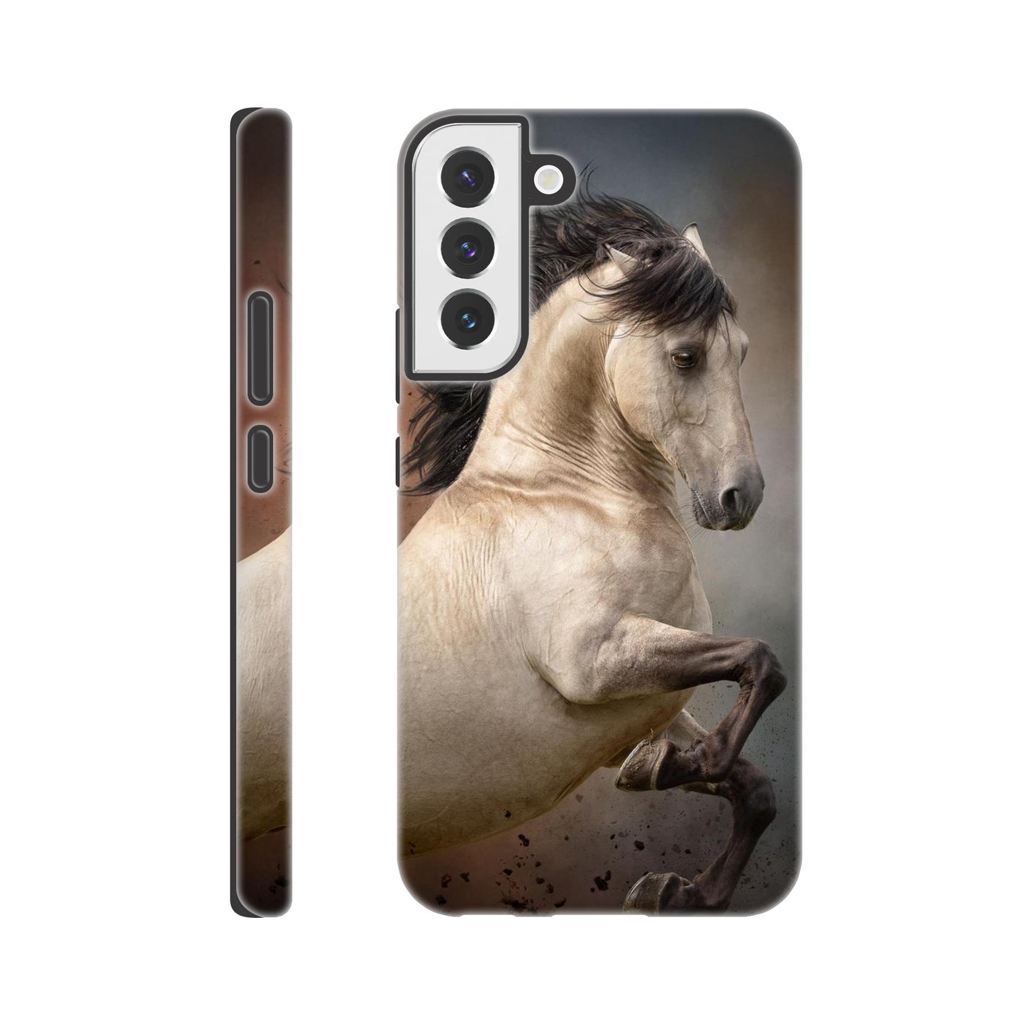 81fabbf5-baab-4b79-9612-b36965f7ea21