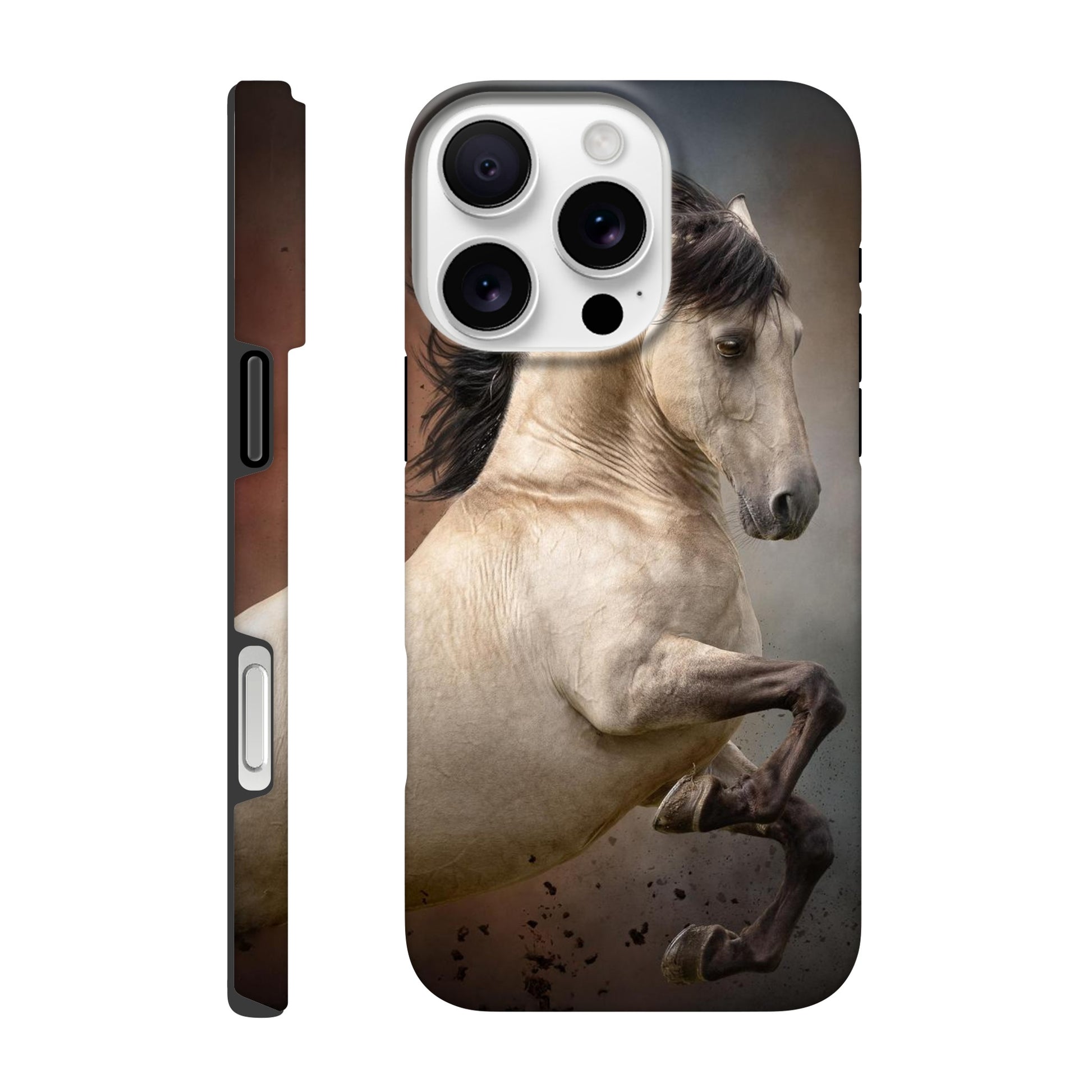 8e173656-ff1f-4aa6-9c9d-2692a5c61ee2