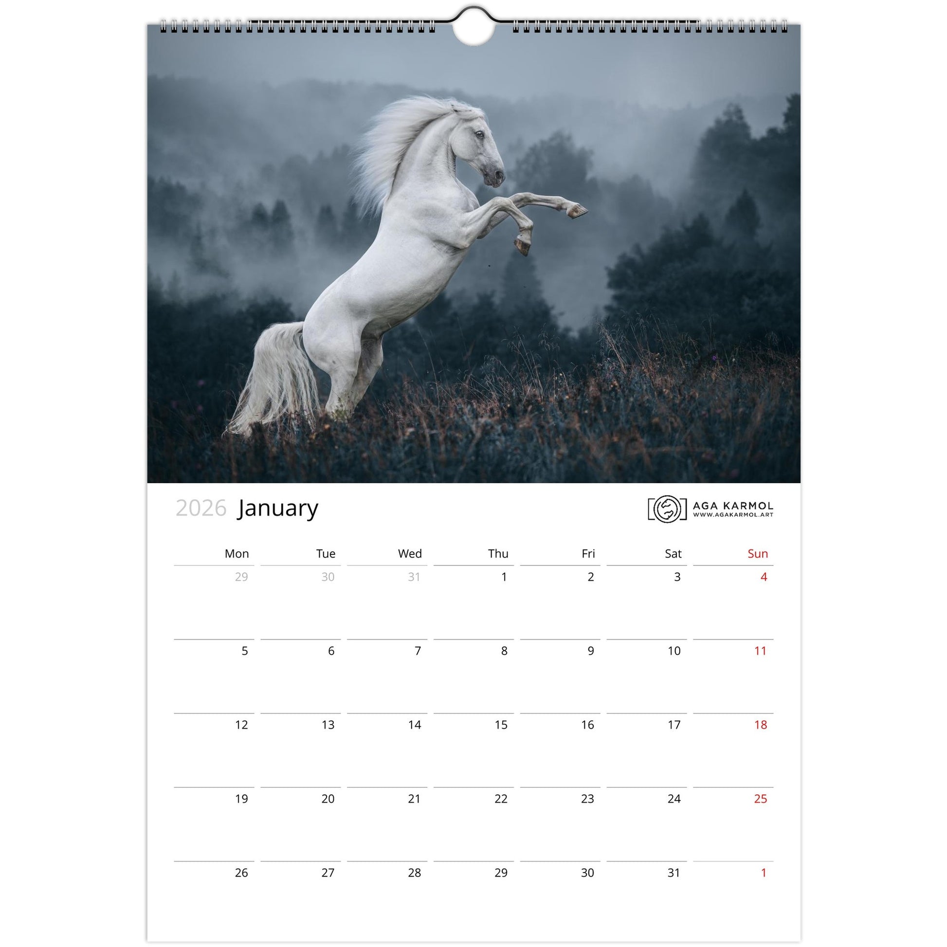 91ab6783-a1cd-407c-b404-74322442d07c