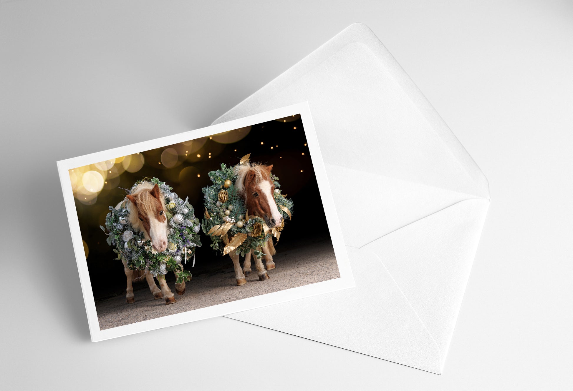 a765b374-cf3d-4cd5-858a-82179f0b83fd