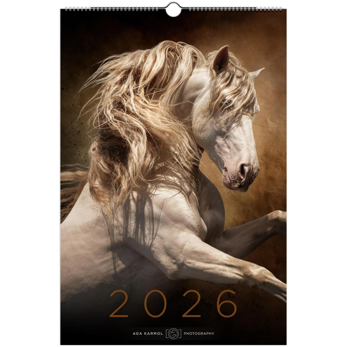 b43ce9ea-3999-4ae5-8a9d-d5164a22ee02