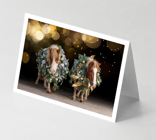 baa8fcac-5417-47f3-aee7-67732c1d39bb