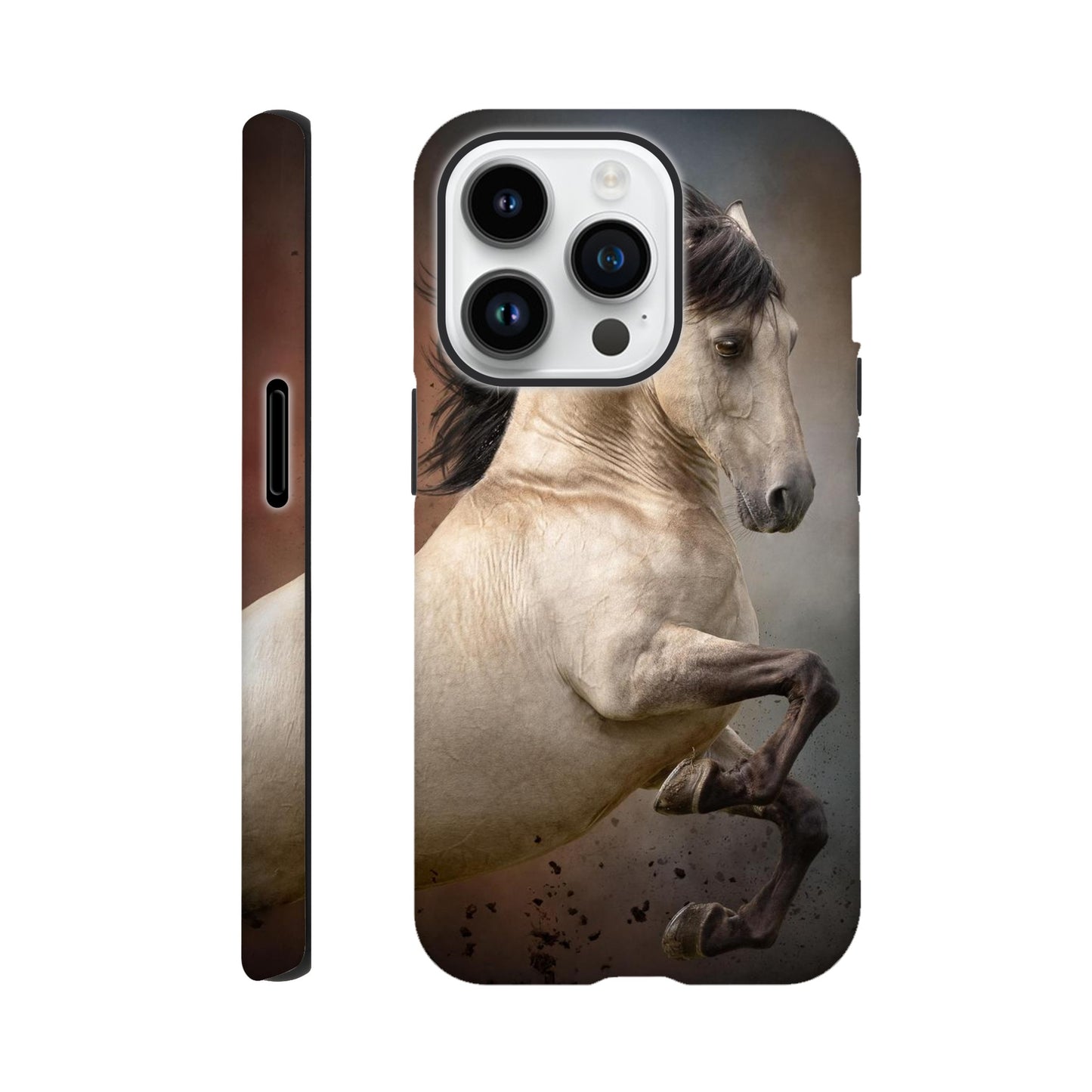 bc24f1e2-cccb-4435-842f-df6b9a106736