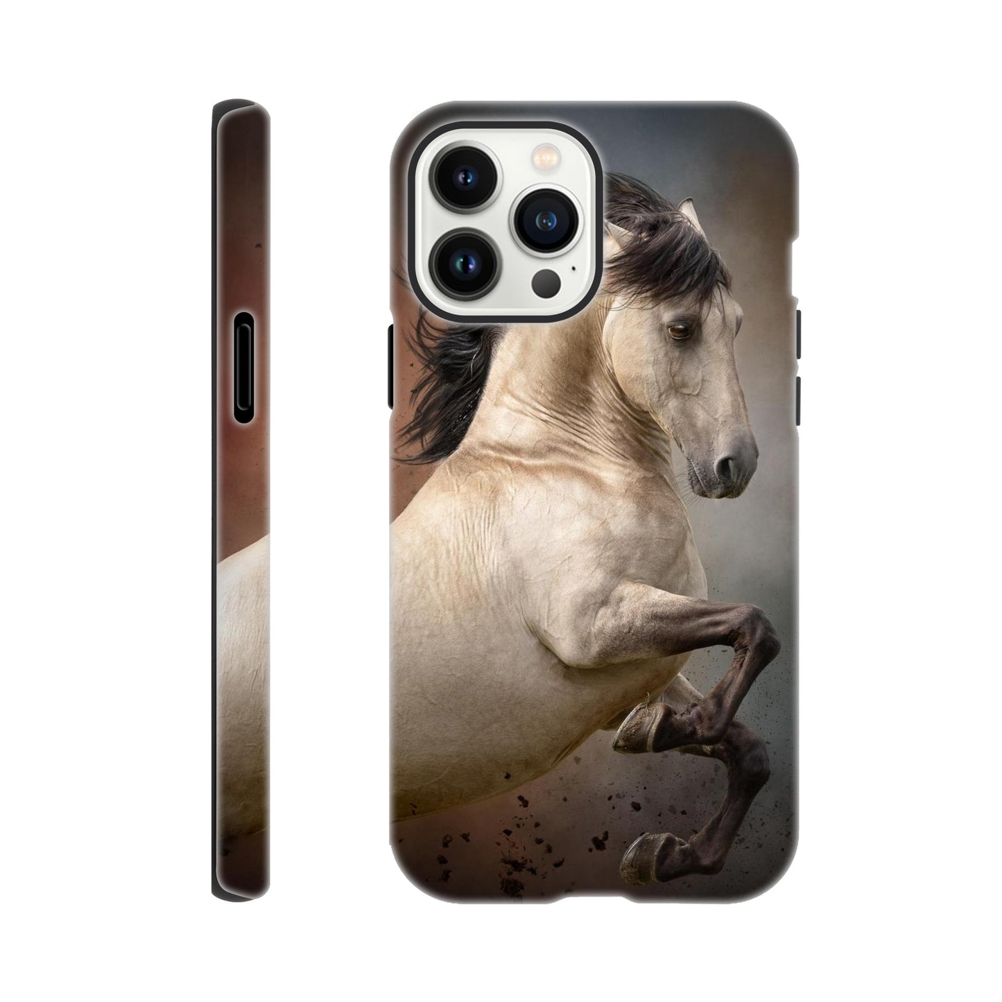 c01f2af7-382b-474e-bf1a-1a7c4903054c