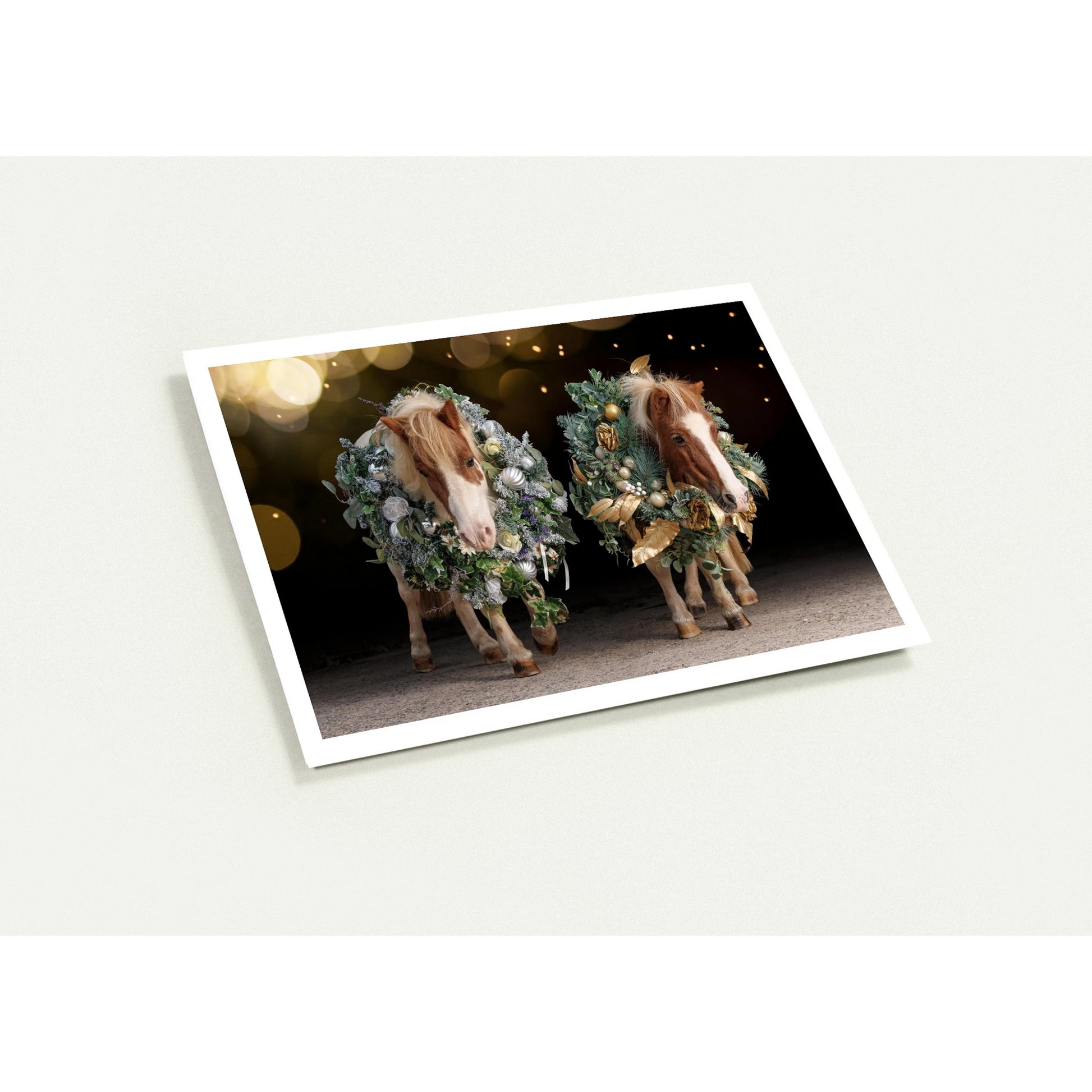 c9fa00fa-5de3-4769-b754-e315c9d5240d