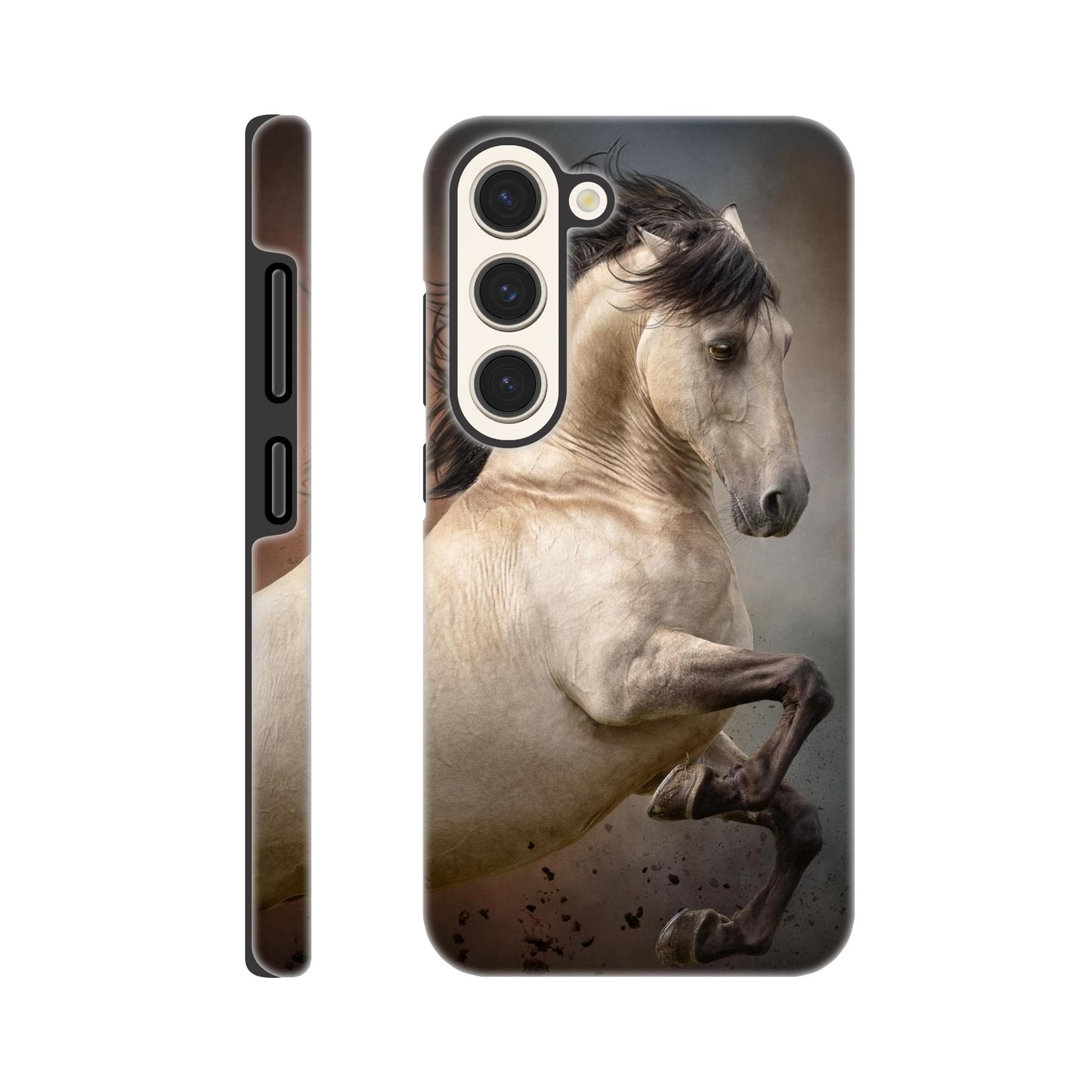 cb217f90-8d24-4dd1-b73a-9b696d9d3006