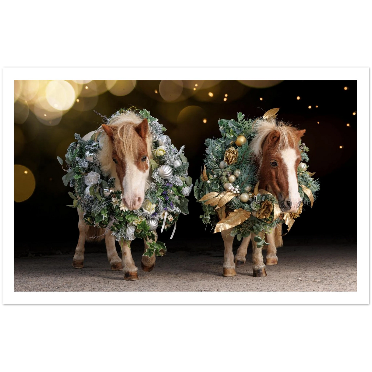 ce5c9275-4519-42ab-83be-06ceac23ec09