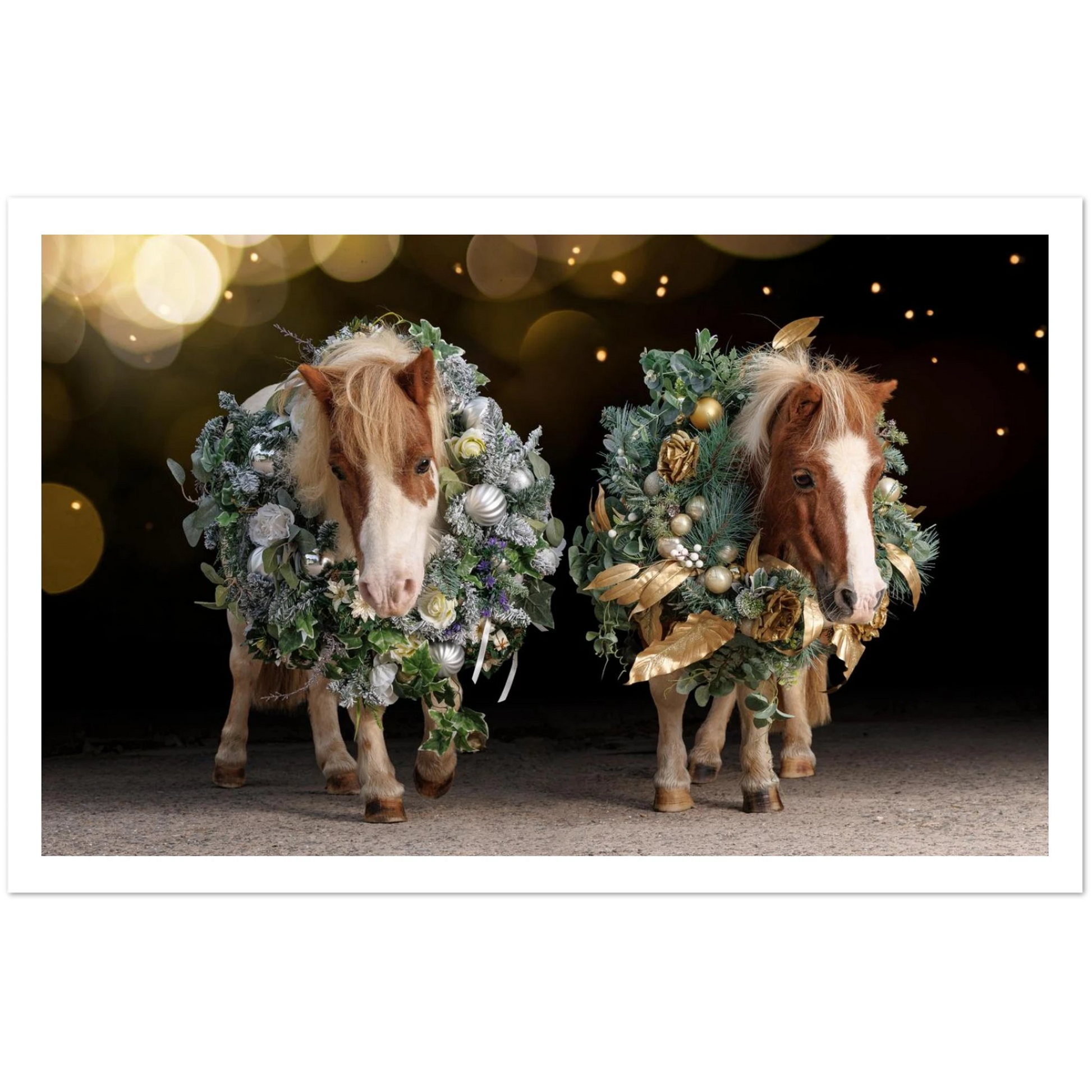 ce5c9275-4519-42ab-83be-06ceac23ec09