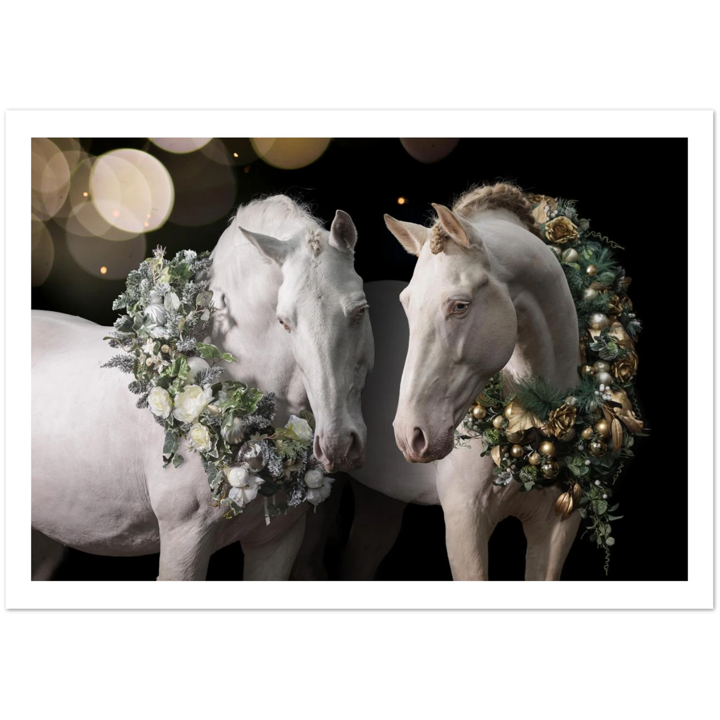 ce764b57-bab5-46f2-81e6-1291d6e540fb