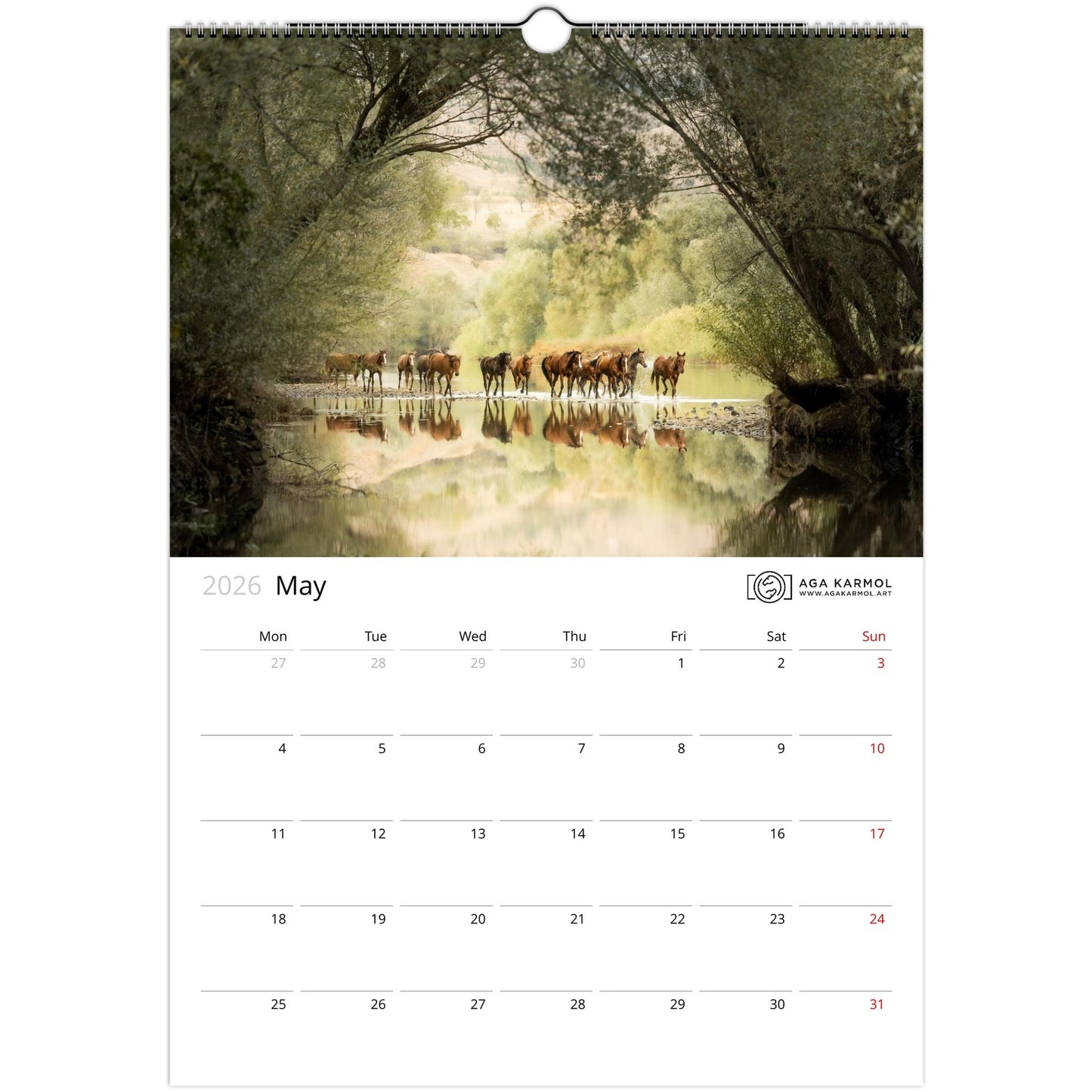 cec132c1-48a7-4465-bccb-7c8c44112cb0