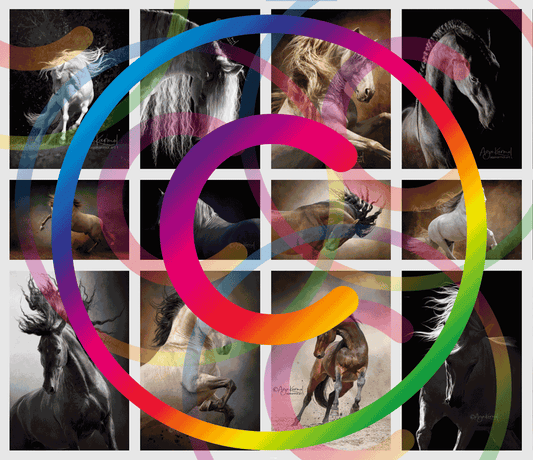 Basic licence for art reference
