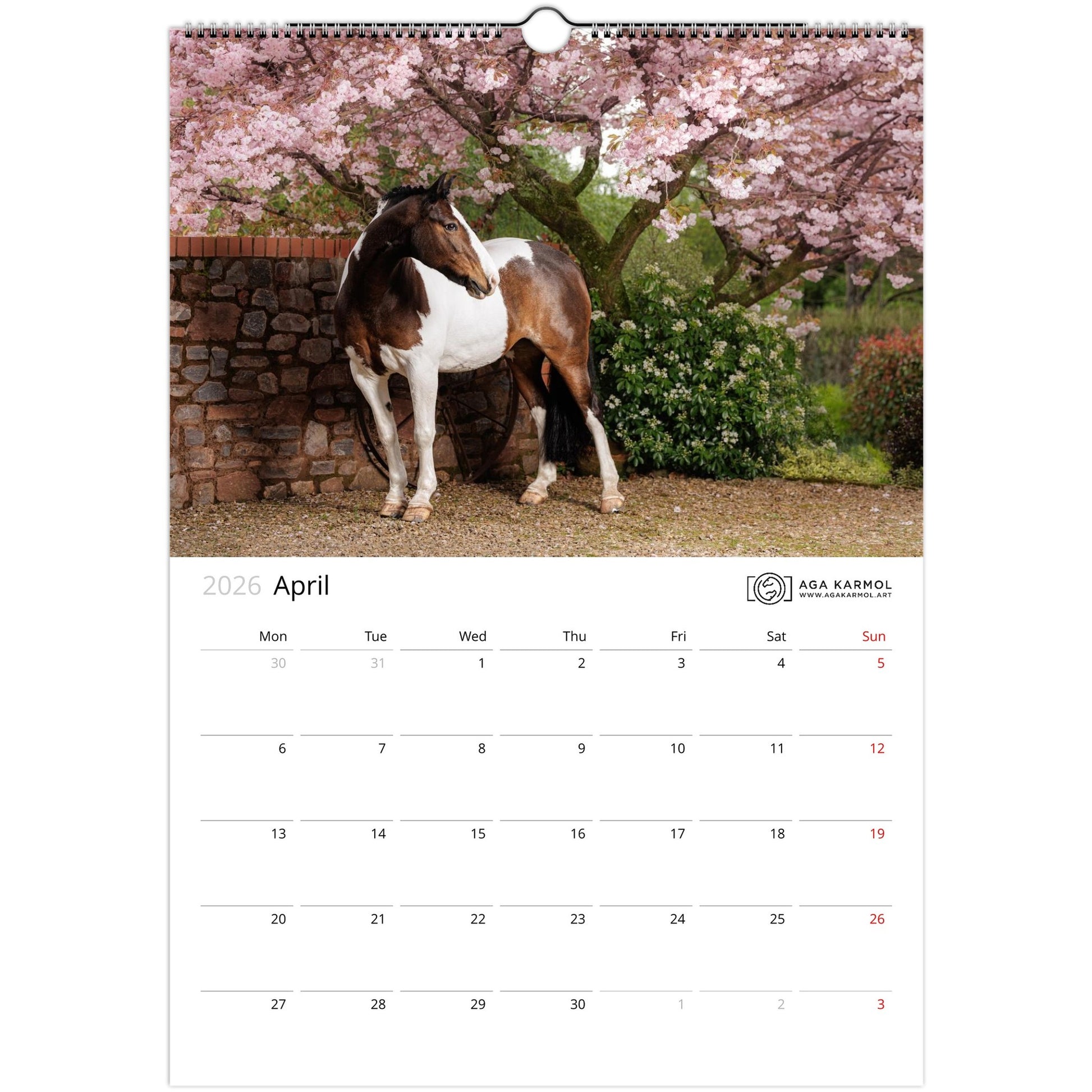 e5eb809e-0861-4803-a8a1-b0096bccbbf6