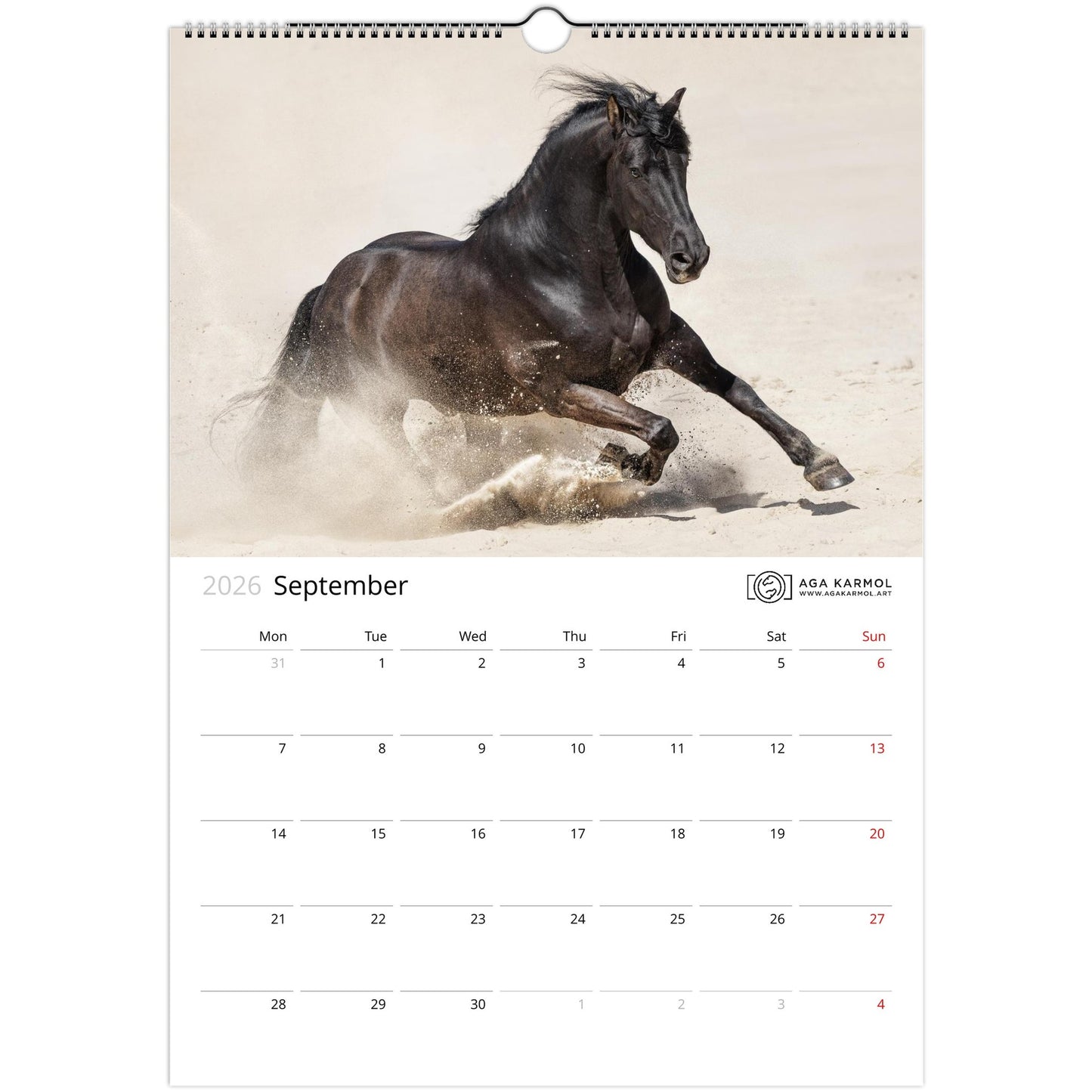 ee895cff-1545-4cbf-b88c-eac946e630f0