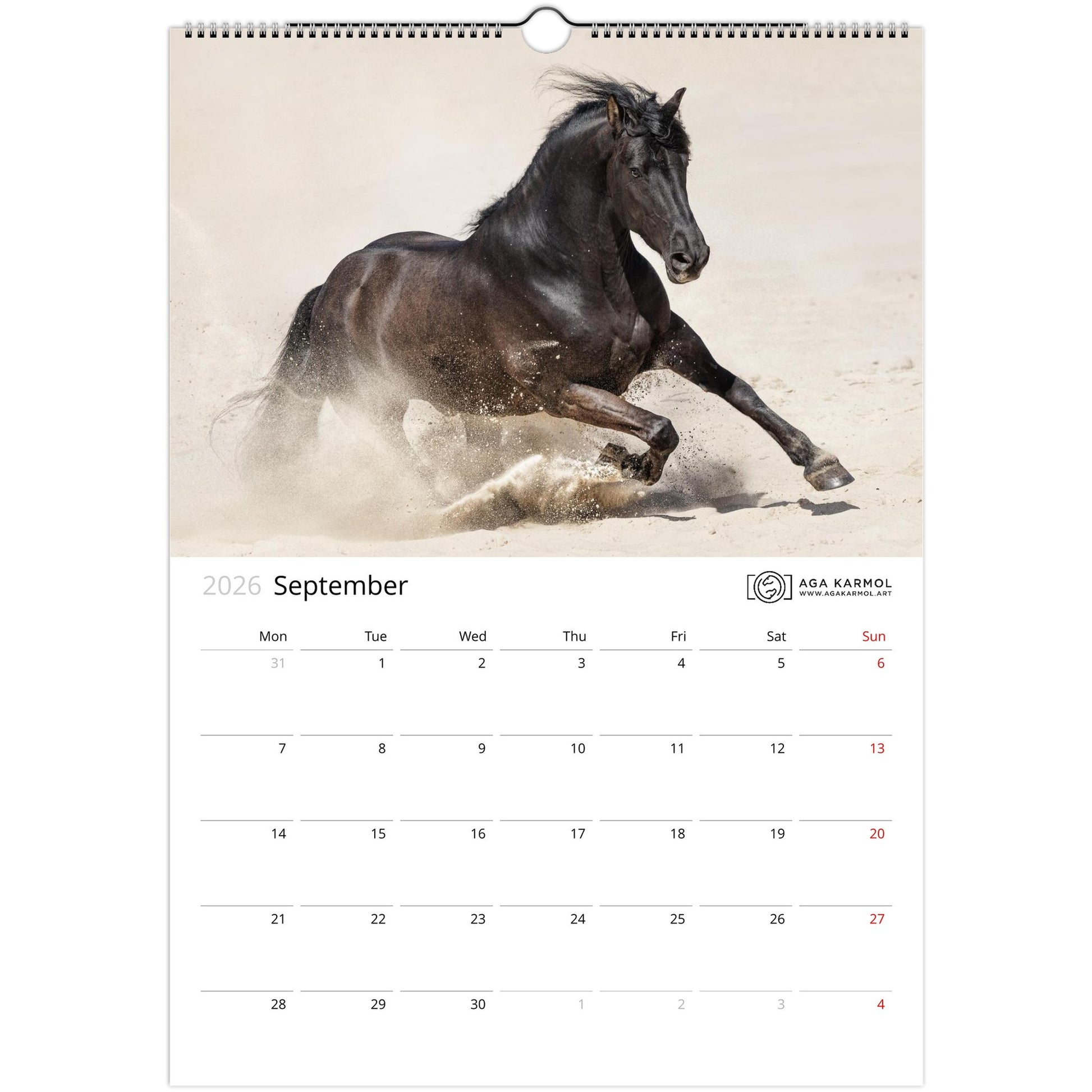 ee895cff-1545-4cbf-b88c-eac946e630f0