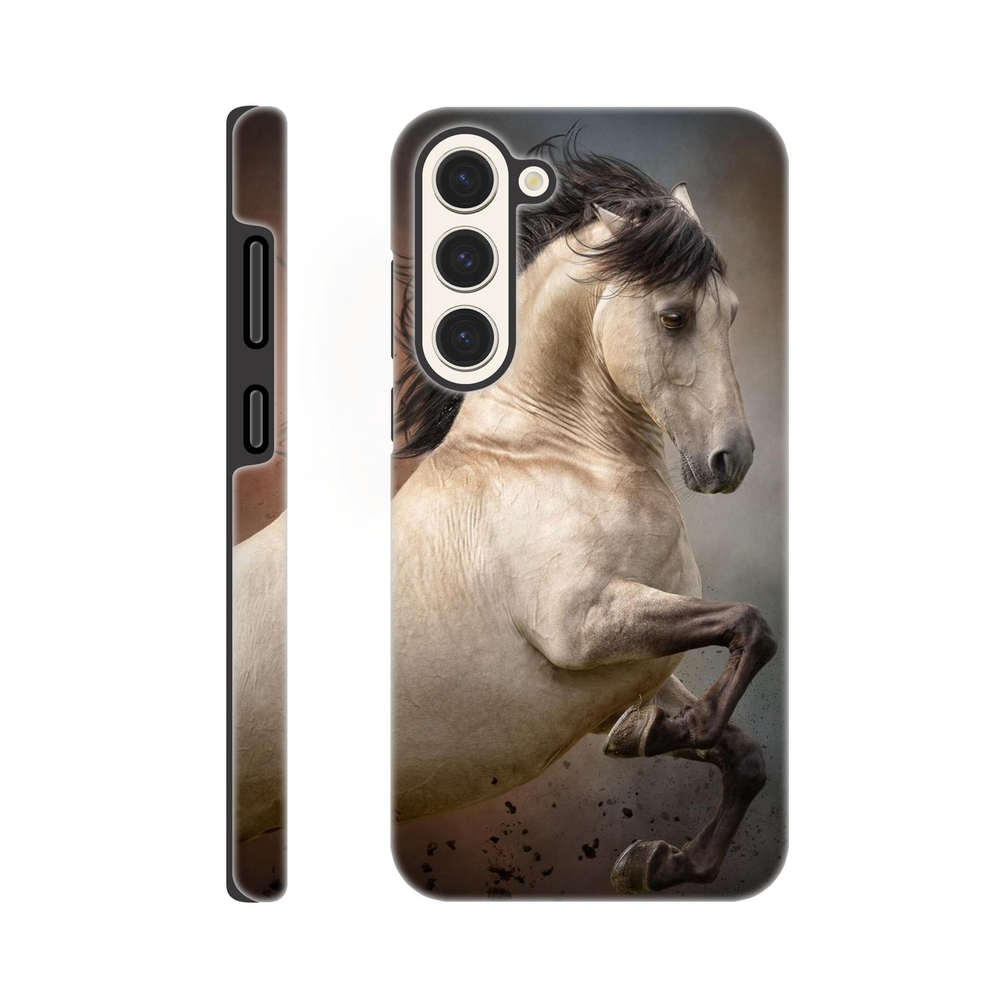 fd218751-49f6-4e3a-aa2b-0f102d146f0e