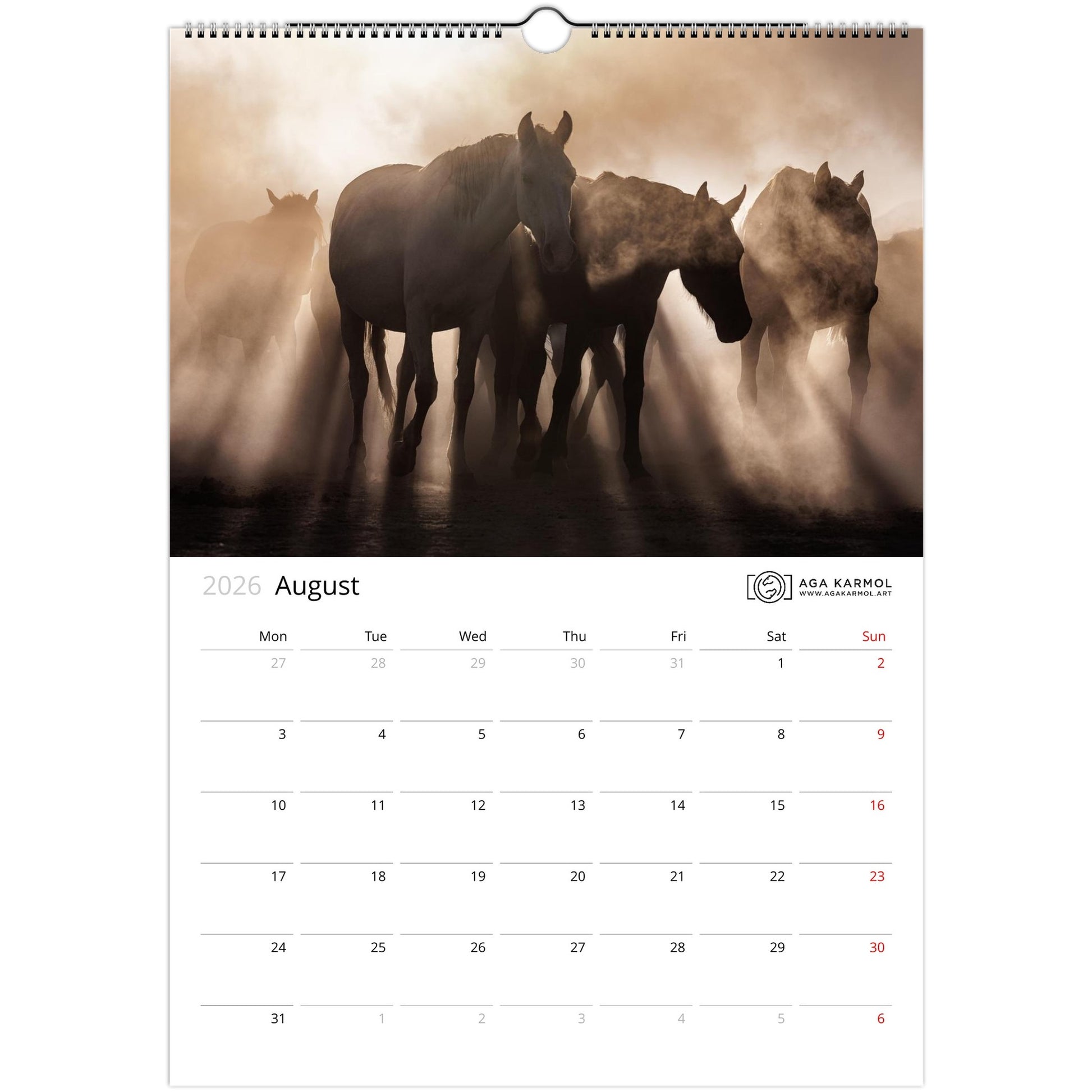 fd32a2bc-98ea-4dfa-9387-a8c0b10d093d