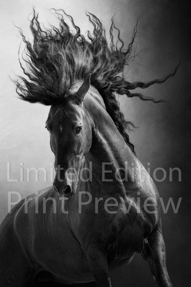 Unbridled
