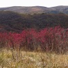 bieszczady-023