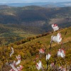 bieszczady-043