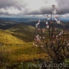 bieszczady-044