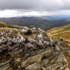 bieszczady-045