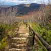 bieszczady-051