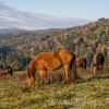 bieszczady-034