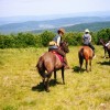 bieszczady-konno-01