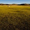 mongolia-10