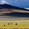 mongolia-11