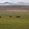 mongolia-84