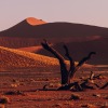 Namibia-162