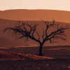 Namibia-166