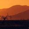 Namibia-168