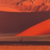 Namibia-170