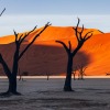 Namibia-198