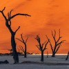 Namibia-199