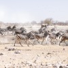 Namibia-12